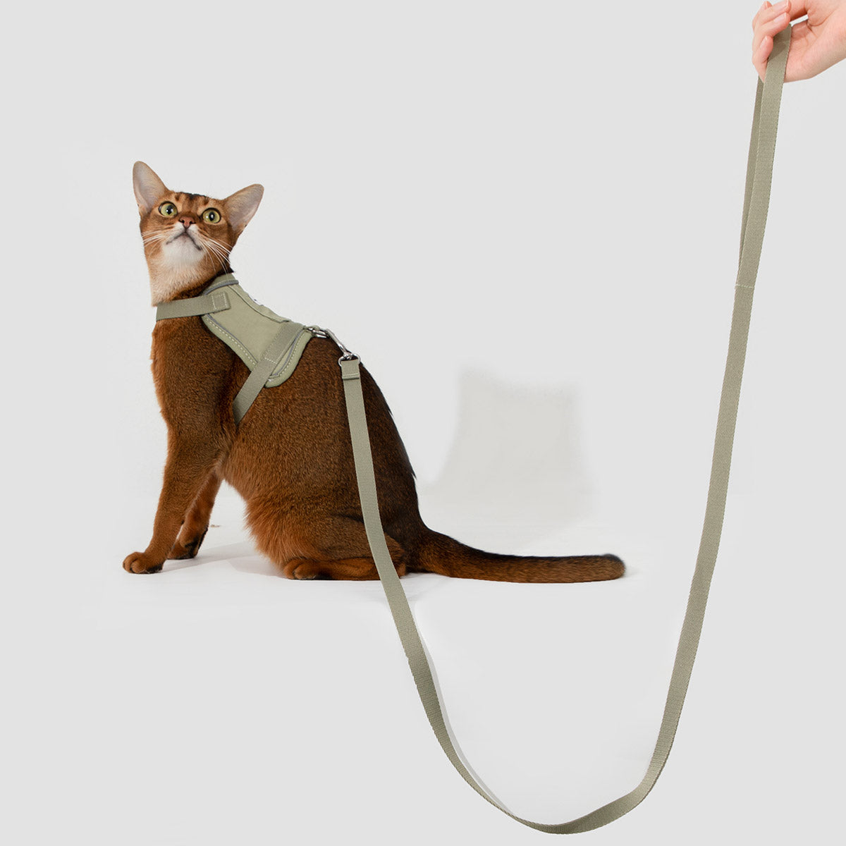 HiDream Vest-Style Cat Harness and Leash Set