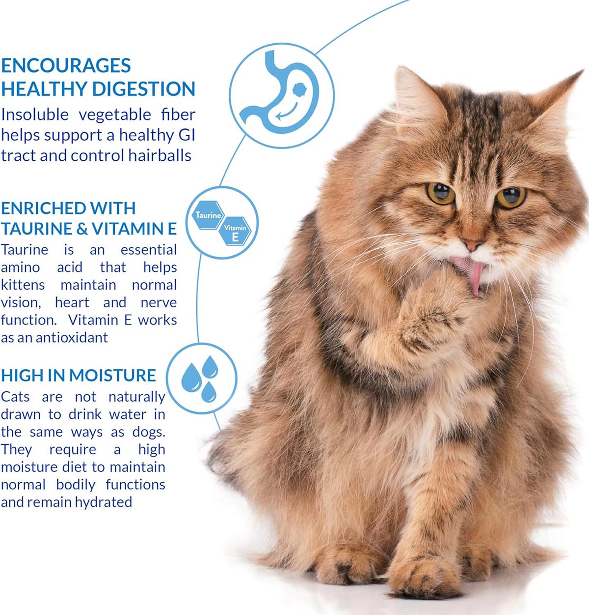 INABA Churu Hairball Control Chicken Cat Treats