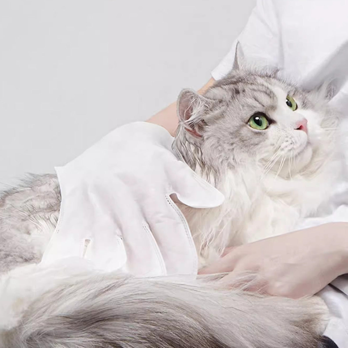 PETSHY Pet Glove Wipes