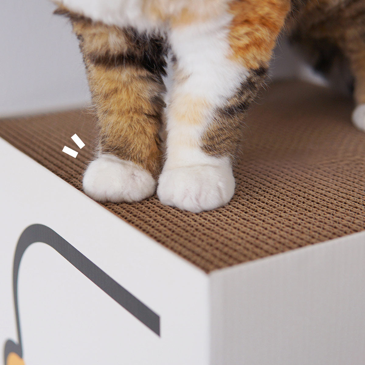 PURROOM Cat Scratching House