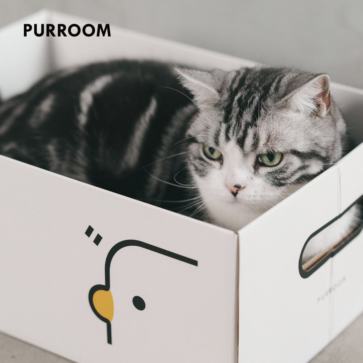 PURROOM Cat Scratcher Box