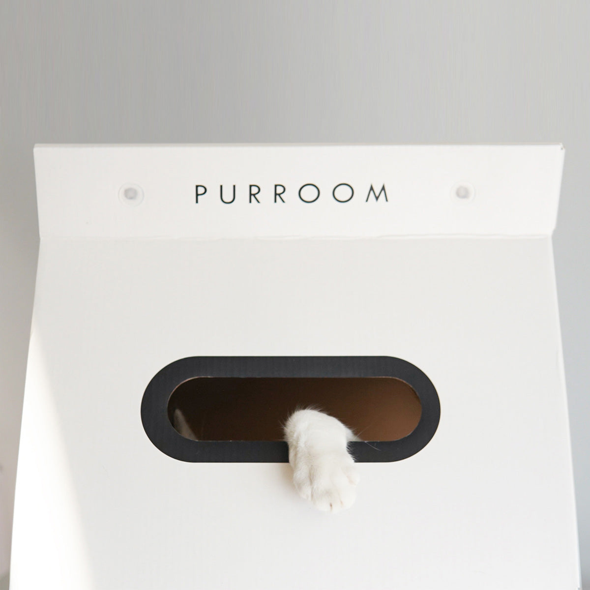 PURROOM Cat Scratching Milk House